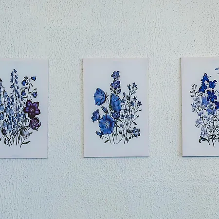 Delille Magnifique T2 En Plein Centre Apartment *