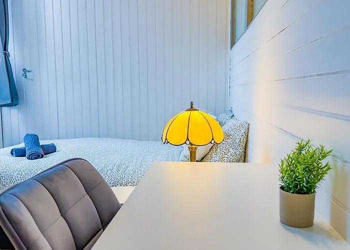 Appartement Delille Magnifique T2 En Plein Centre *