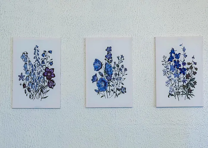 Delille Magnifique T2 En Plein Centre Apartment *