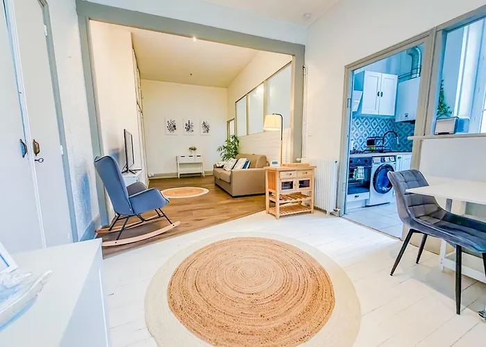 Delille Magnifique T2 En Plein Centre * Clermont-Ferrand